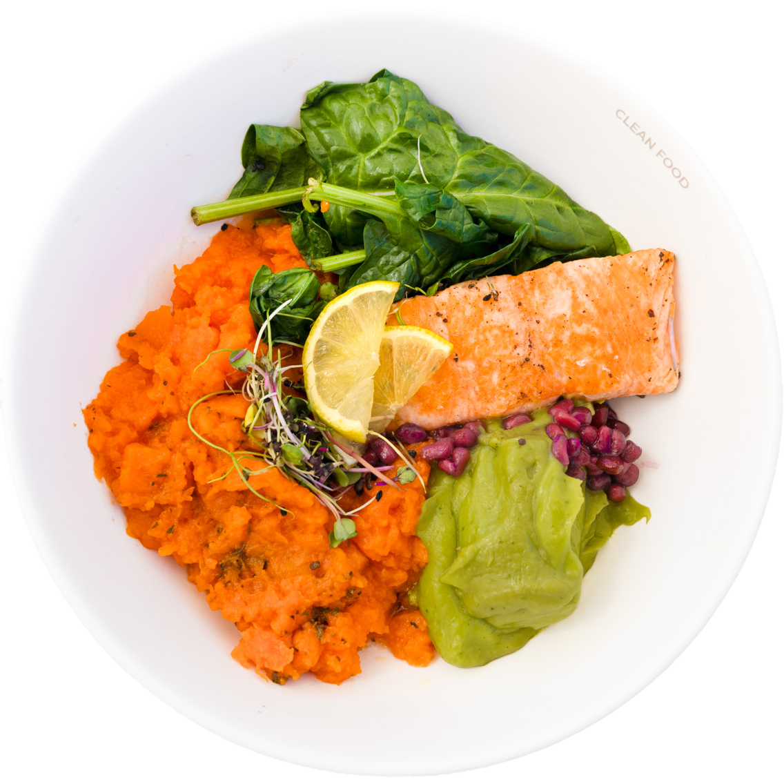 salmon 1.1 CLEAN FOOD Essen